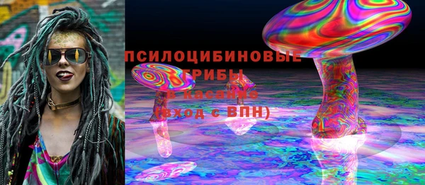 Альфа ПВП Абаза