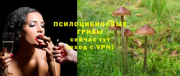 apvp Абинск