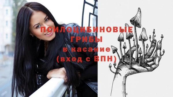 спайс Алексин