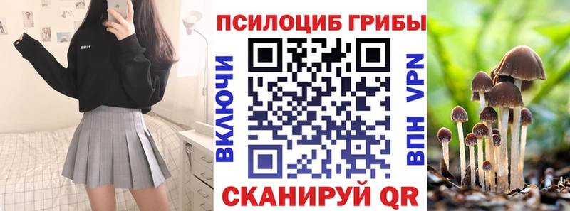 kraken ссылки  Аткарск  Псилоцибиновые грибы Magic Shrooms 